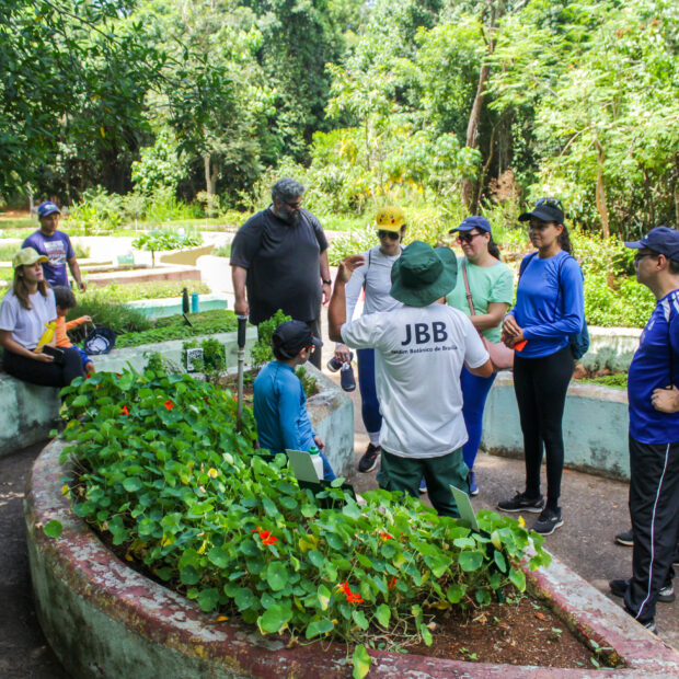 Foto: Divulgação/JBB