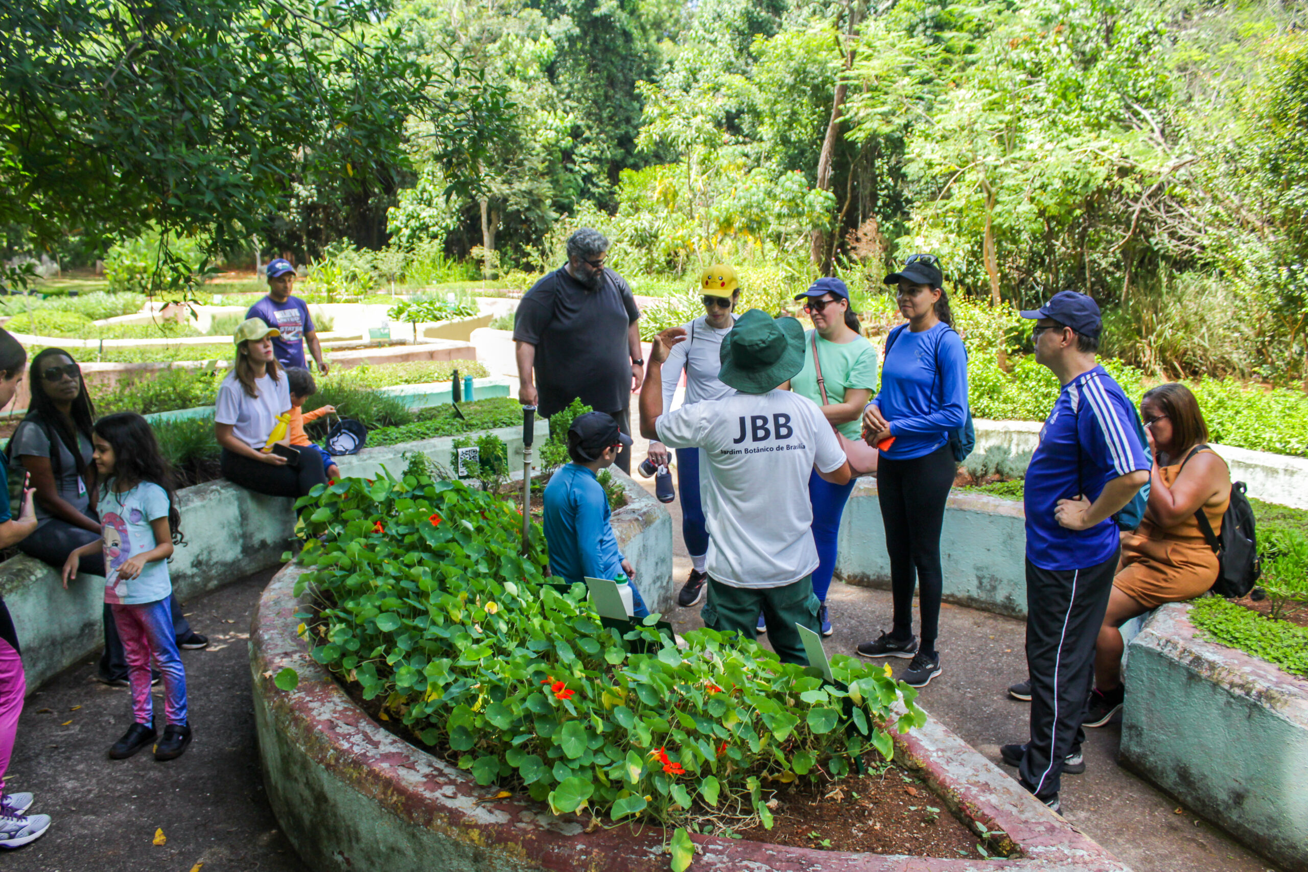 Foto: Divulgação/JBB