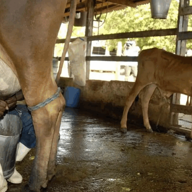 Foto: Marcelo Camargo/Agência Brasil