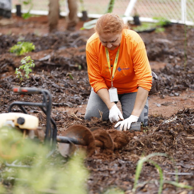 21.1. aps. foto matheus oliveira agência saúde df2