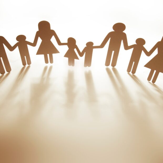 21.1. arranjos familiares. ipedf