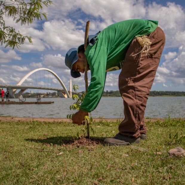 recuperação amb⁮iental