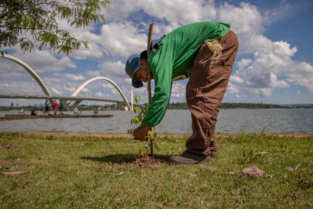 recuperação amb⁮iental
