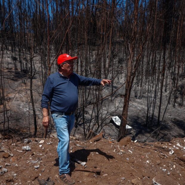 chile environment climate fire aftermath