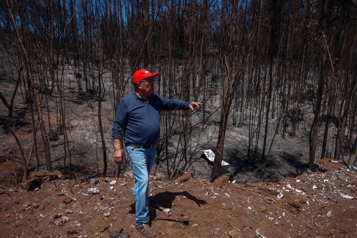 chile environment climate fire aftermath