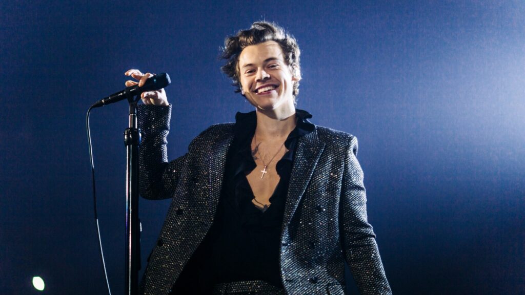 harry styles show