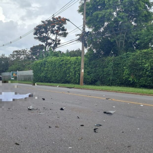 whatsapp image 2026 01 24 at 16.34.11