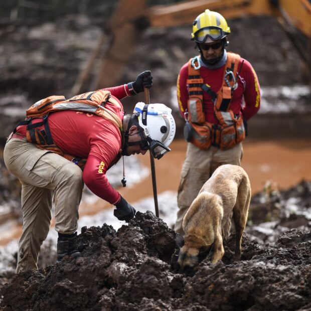 brazil dam collapse 100 days search