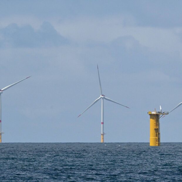 1751063311685f1b0fd6137 1751063311 3x2 rt