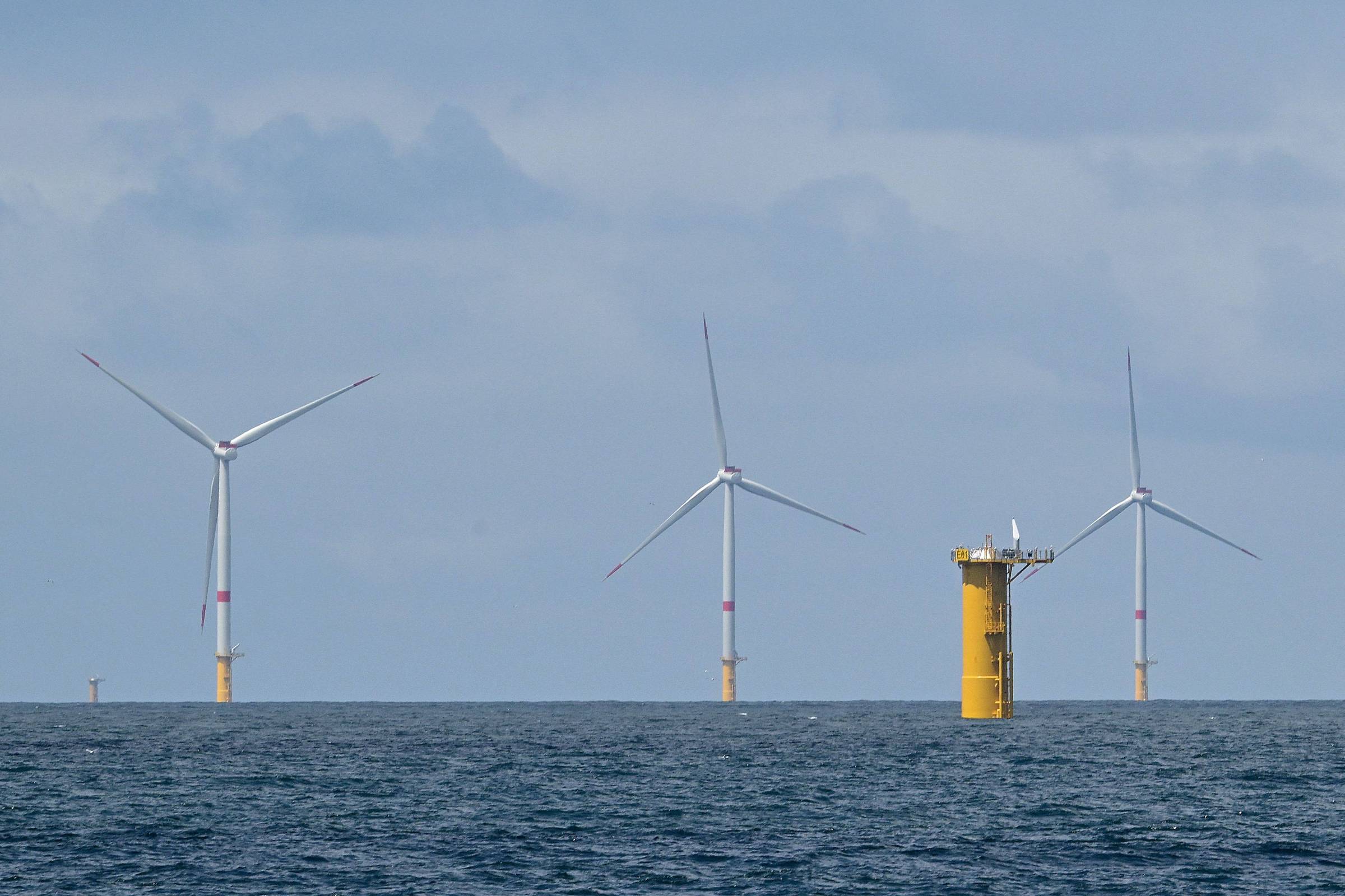 1751063311685f1b0fd6137 1751063311 3x2 rt