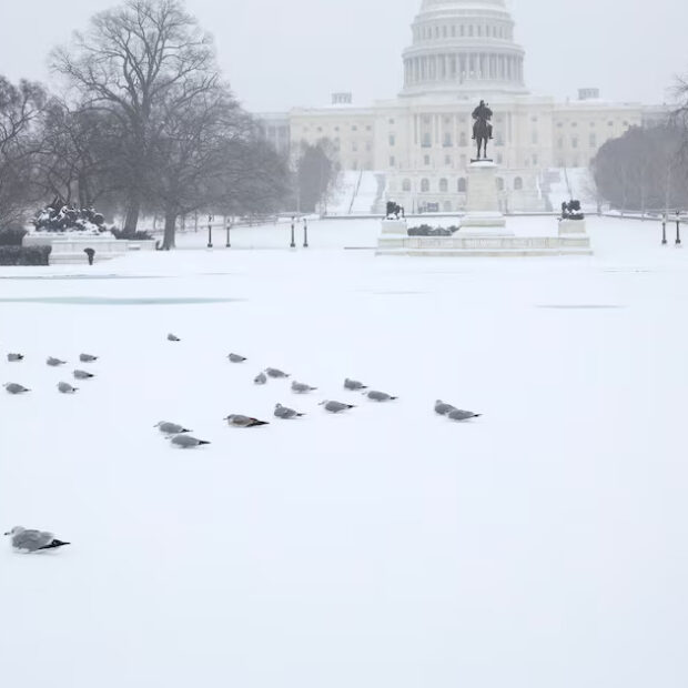 Foto: Amid Farahi/AFP
