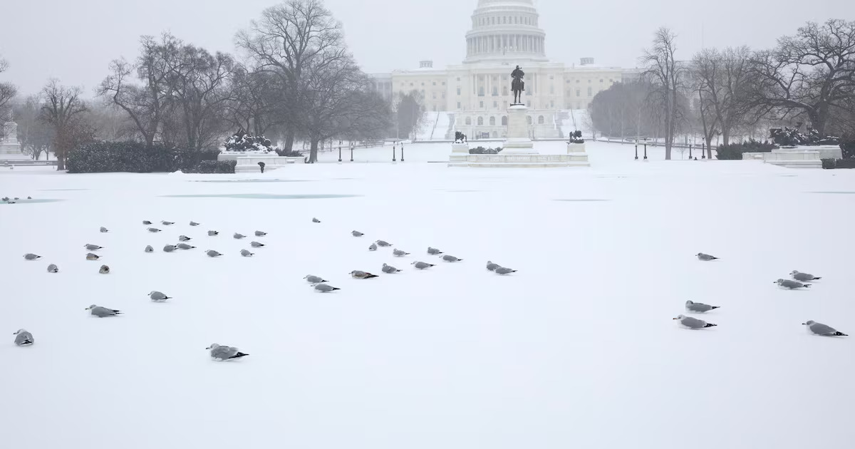 Foto: Amid Farahi/AFP