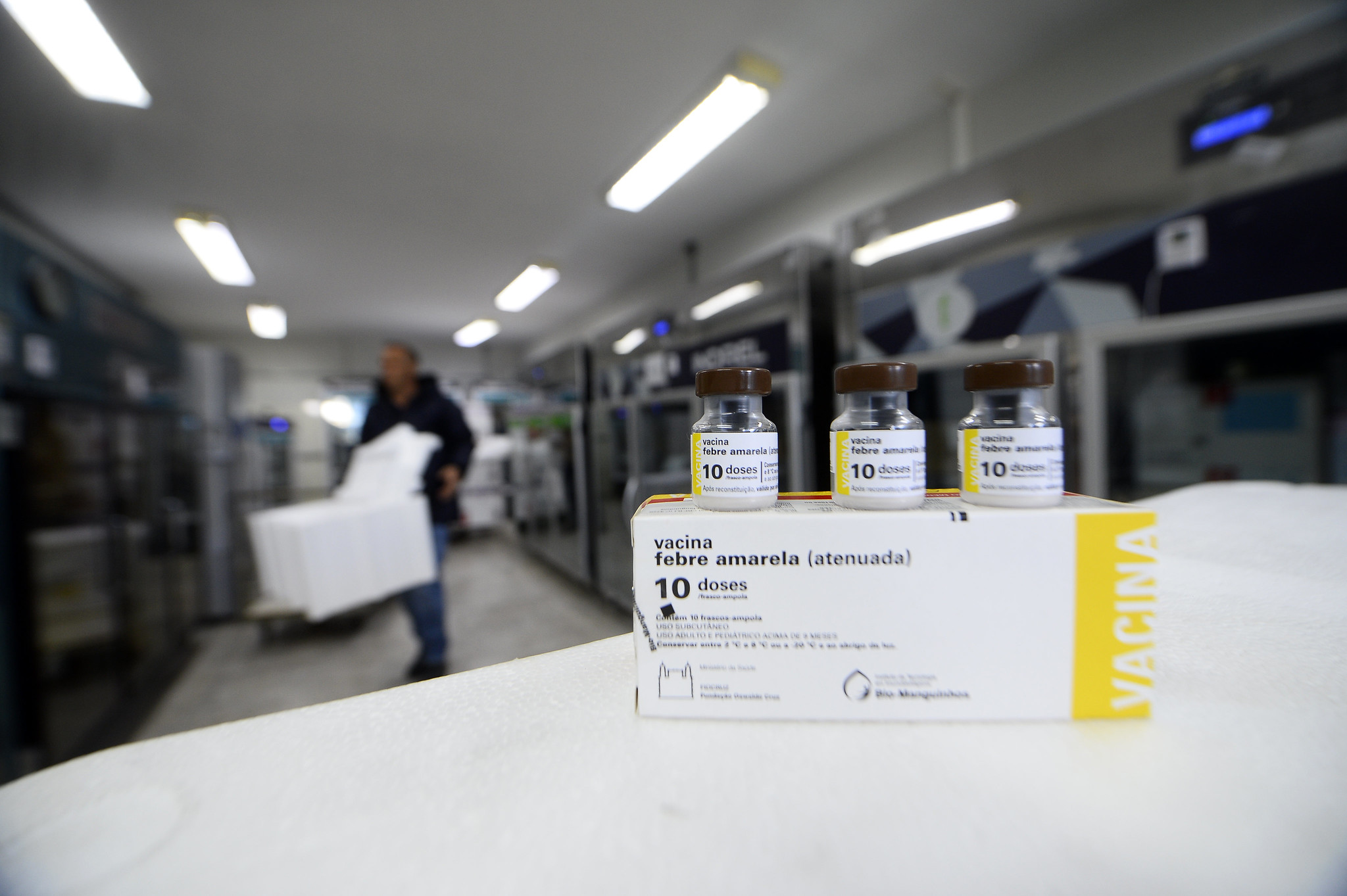 vacina febre amarela