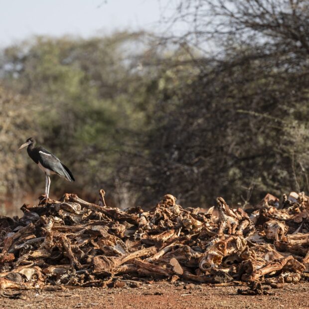 kenya climate drought