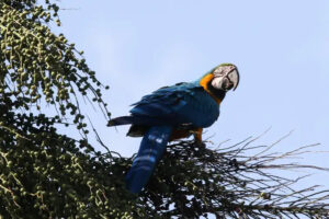 Foto: Fabio Rodrigues Pozzebom/Agência Brasil