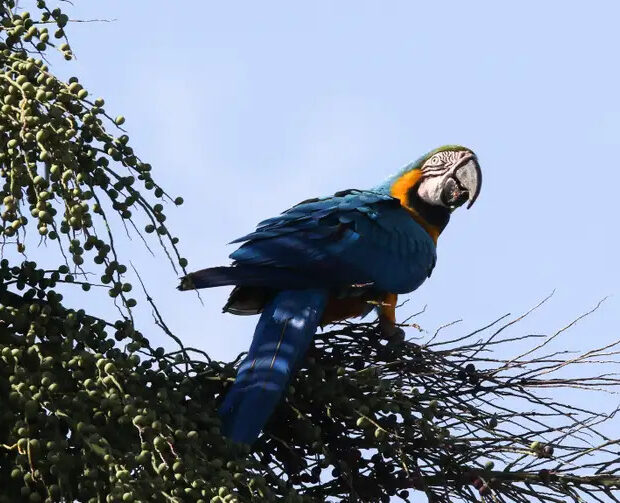 Foto: Fabio Rodrigues Pozzebom/Agência Brasil