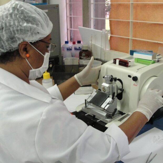 28.1. foto divulgação fapdf