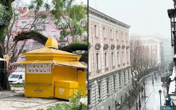 Foto: Reprodução/AFP