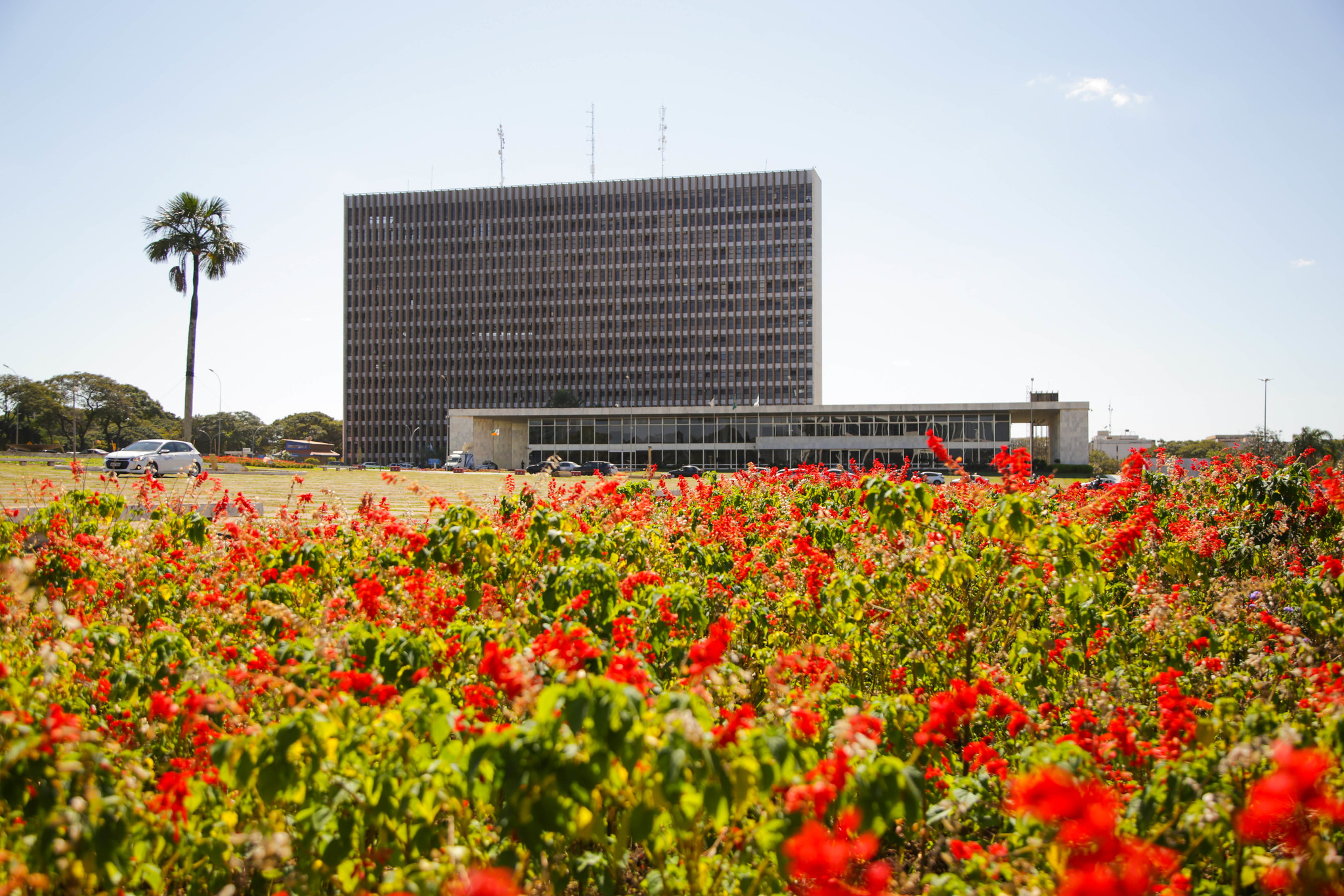 Foto: Lucio Bernardo Jr/Agência Brasília