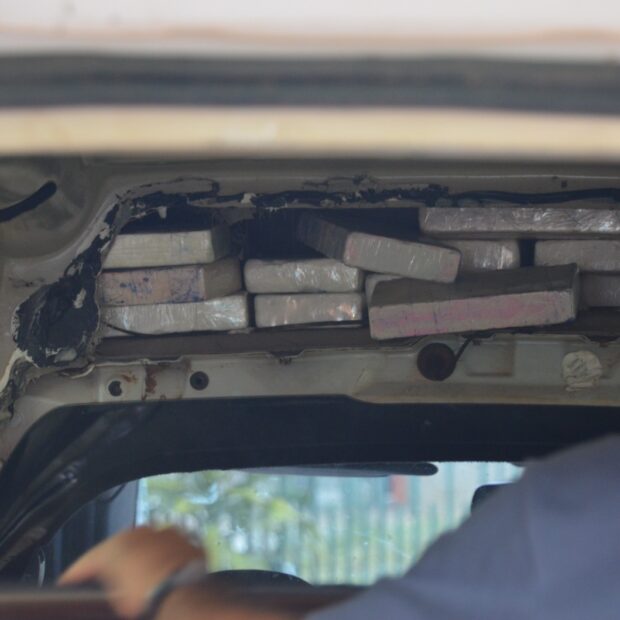 whatsapp image 2026 01 28 at 20.11.48