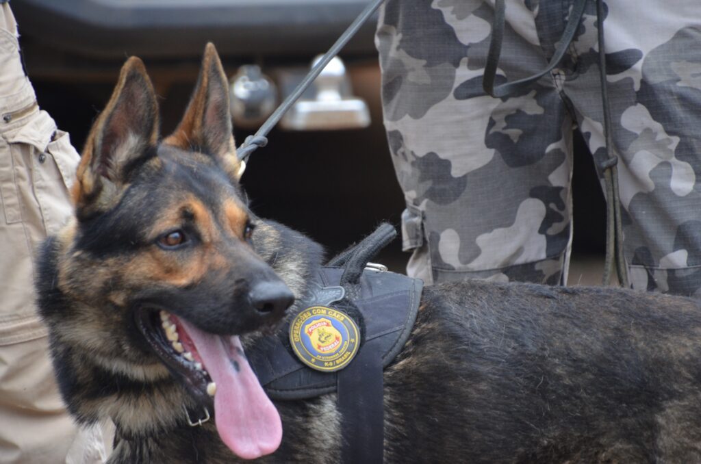 whatsapp image 2026 01 28 at 20.11.48 (1)