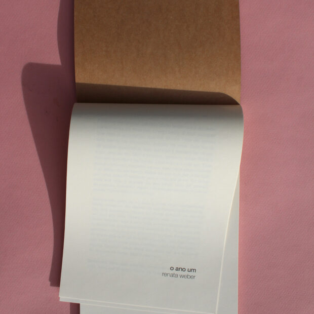 livro o ano um foto de raísa curty 3