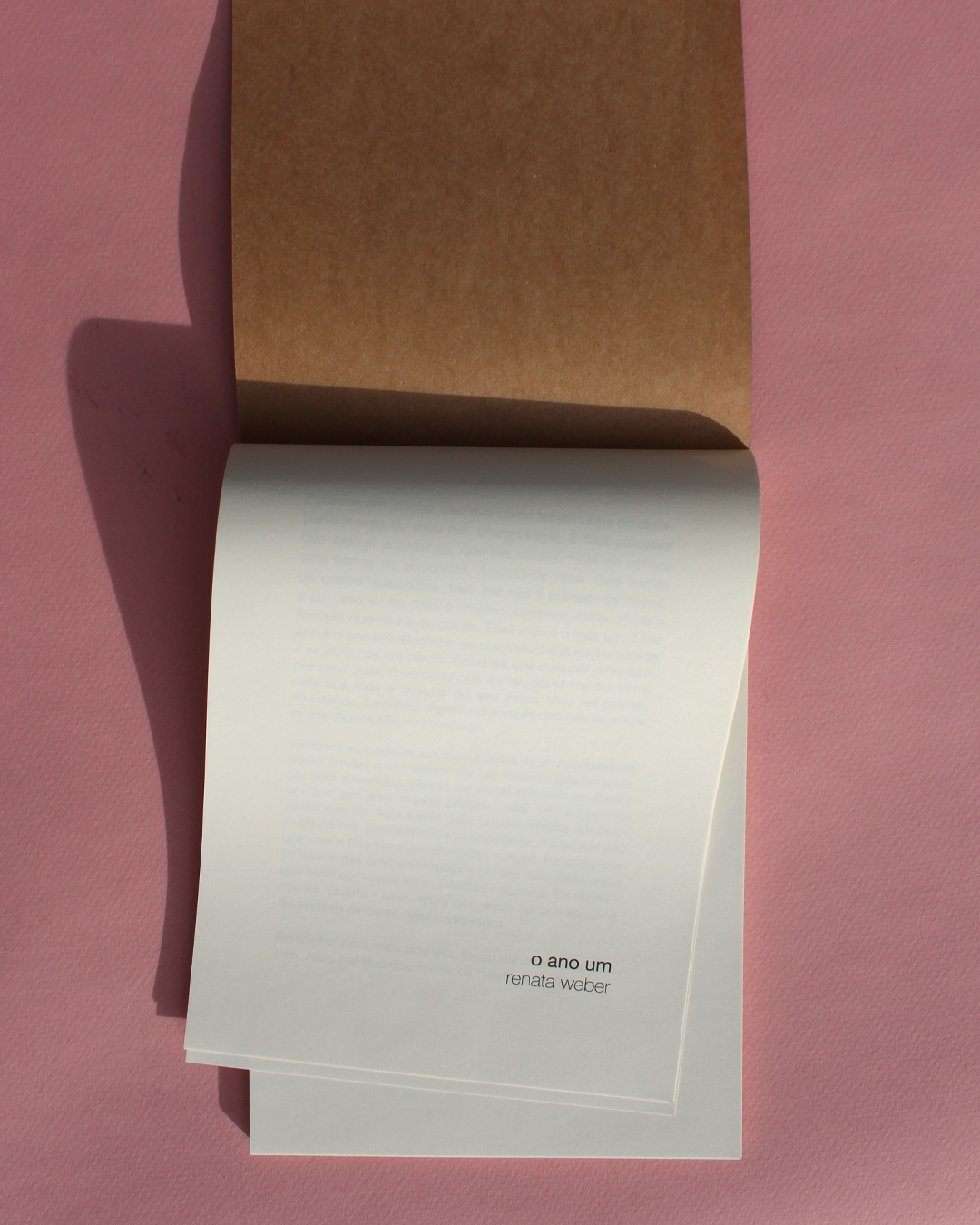 livro o ano um foto de raísa curty 3