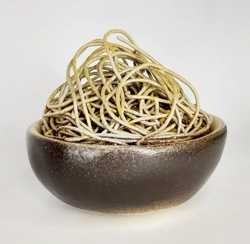 rodrigo machado crédito arquivo pessoal (4)