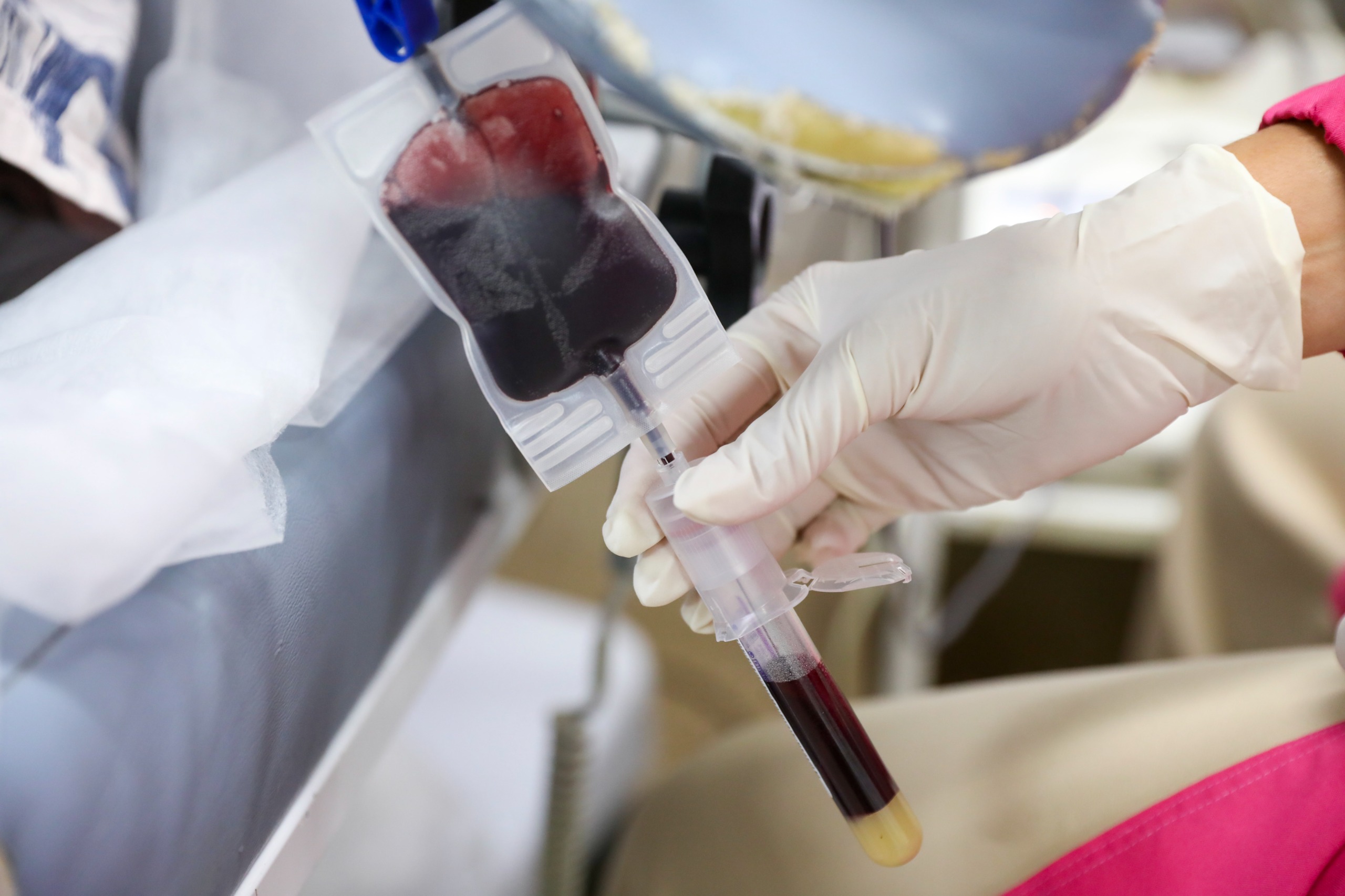 29.1. doação de sangue. foto lúcio bernardo jr. agência brasília2