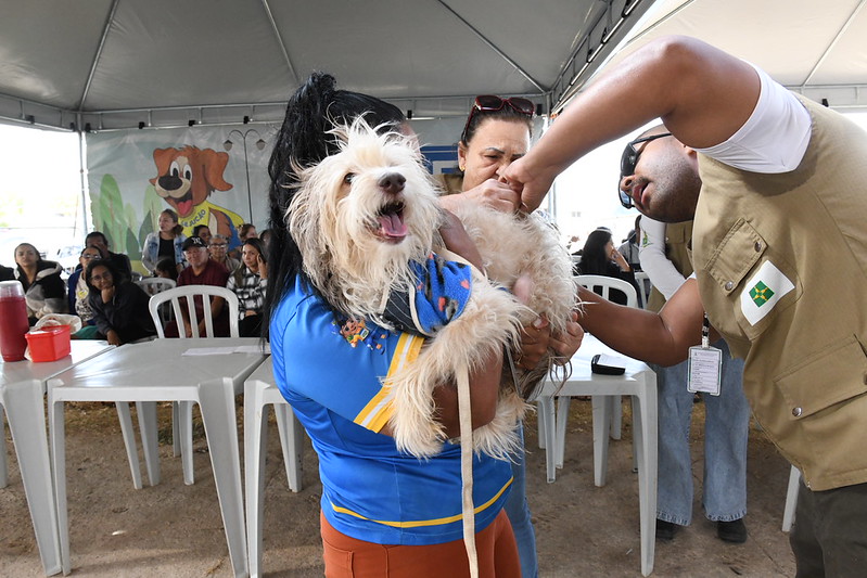 gdf mais perto do cidadao