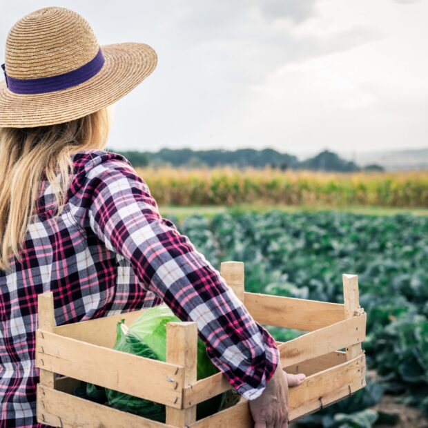 Foto: Divulgação/Sedet-DF