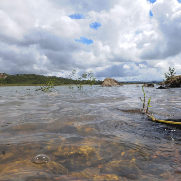 Foto: Dênio Simões/Agência Brasília