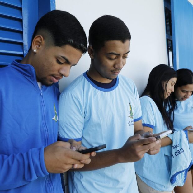 pesquisa celular seedf foto 2 1 1536x1024