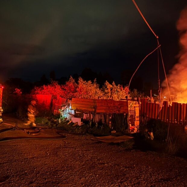 whatsapp image 2026 01 29 at 23.55.07