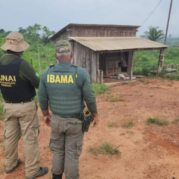 pf prende suspeito de assassinato de parceiro do ibama na ti apyterewa