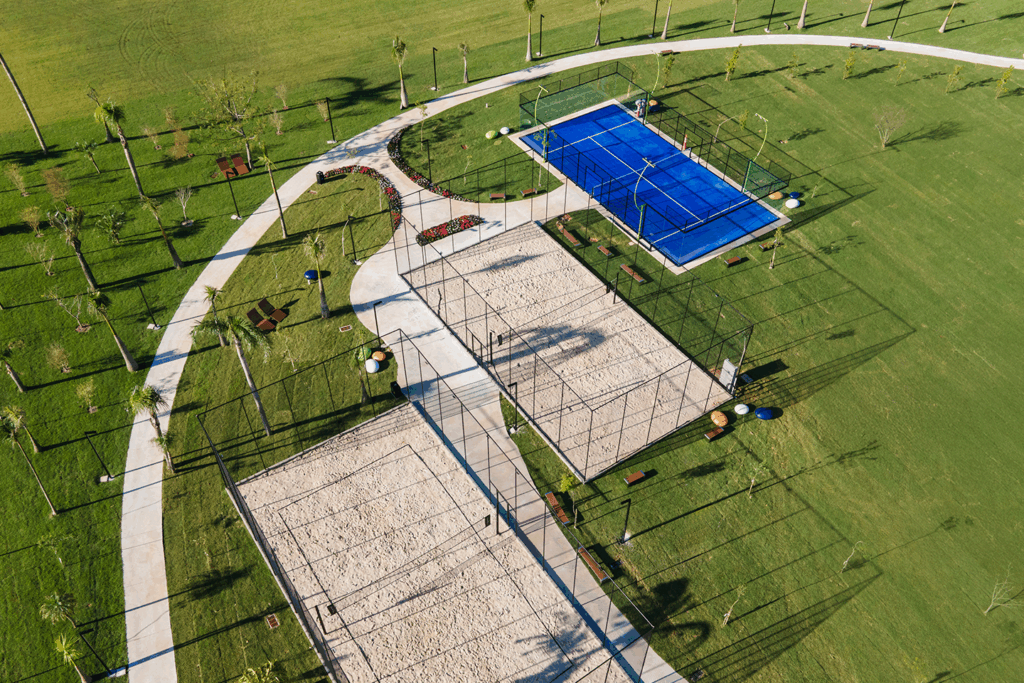 divulgação flores de sal (8)