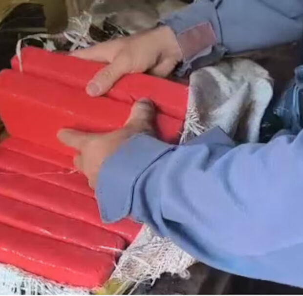 Foto: Divulgação/MPSP