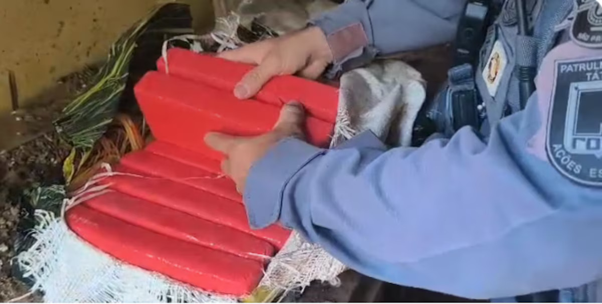 Foto: Divulgação/MPSP