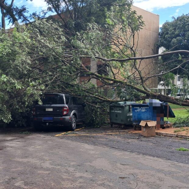 whatsapp image 2026 01 31 at 18.27.44