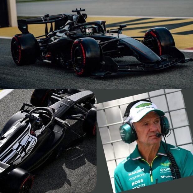 whatsapp image 2026 02 01 at 14.29.35