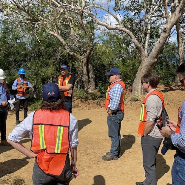 Foto: Divulgação/Vizsla Silver