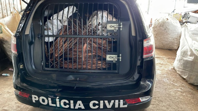 Foto: Divulgação/PCDF