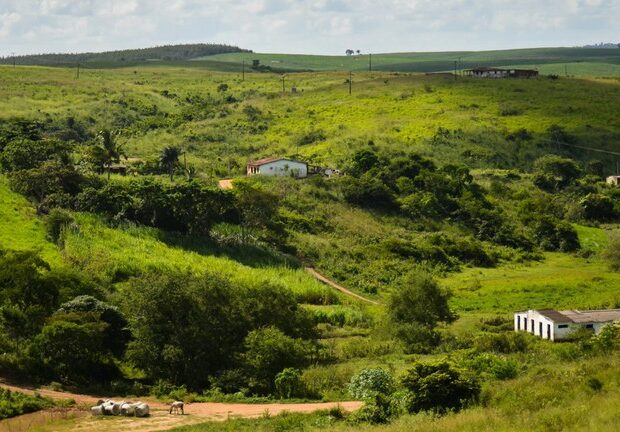 terreno rural pernambuco