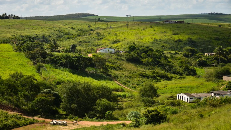 terreno rural pernambuco