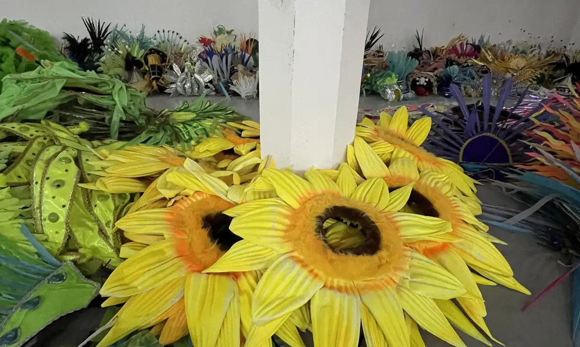 fantasias na sapucaí