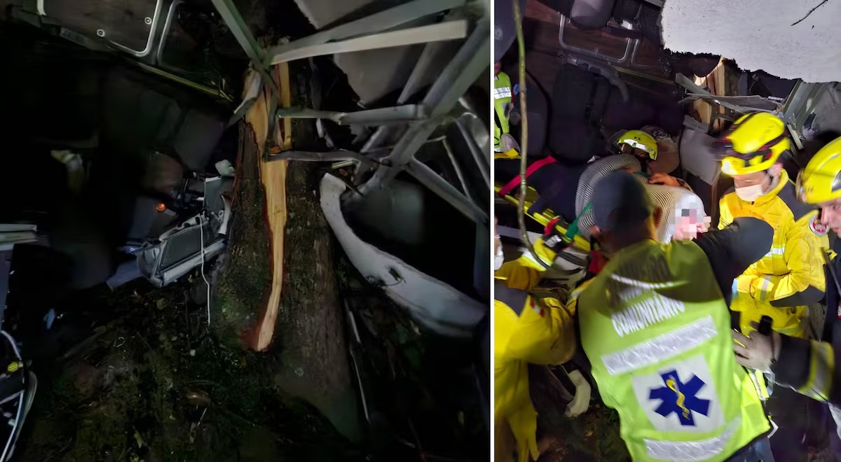 em santa catarina três pessoas morrem e 13 ficam feridas após ônibus cair em ribanceira