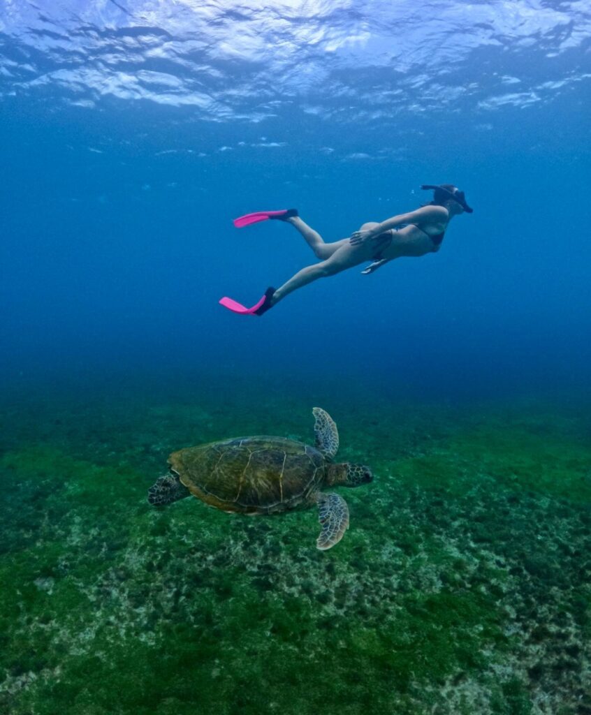 610880199 18561772096059191 4476734110748178696 n