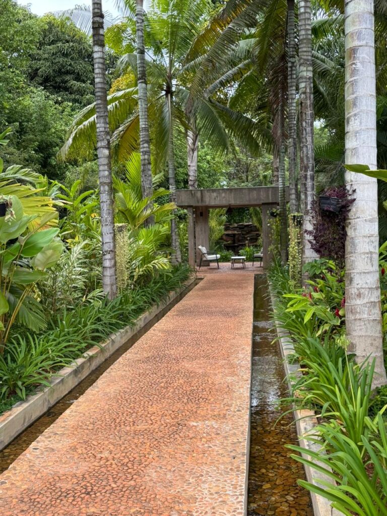 Foto: Marcelo Chaves/Jornal de Brasília