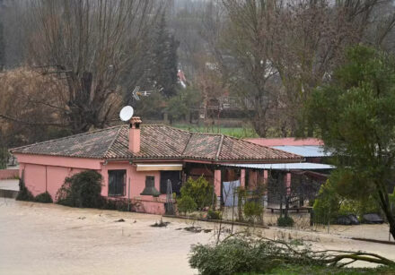 Foto: Jorge Guerrero / AFP