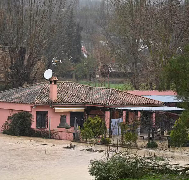Foto: Jorge Guerrero / AFP